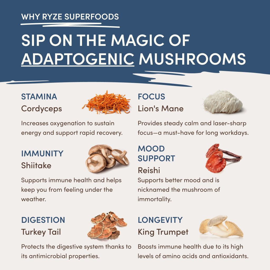 RYZE Nighttime Mushroom Cocoa Starter Bag J2