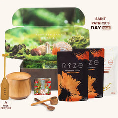 Mushroom Coffee Ritual Set M4