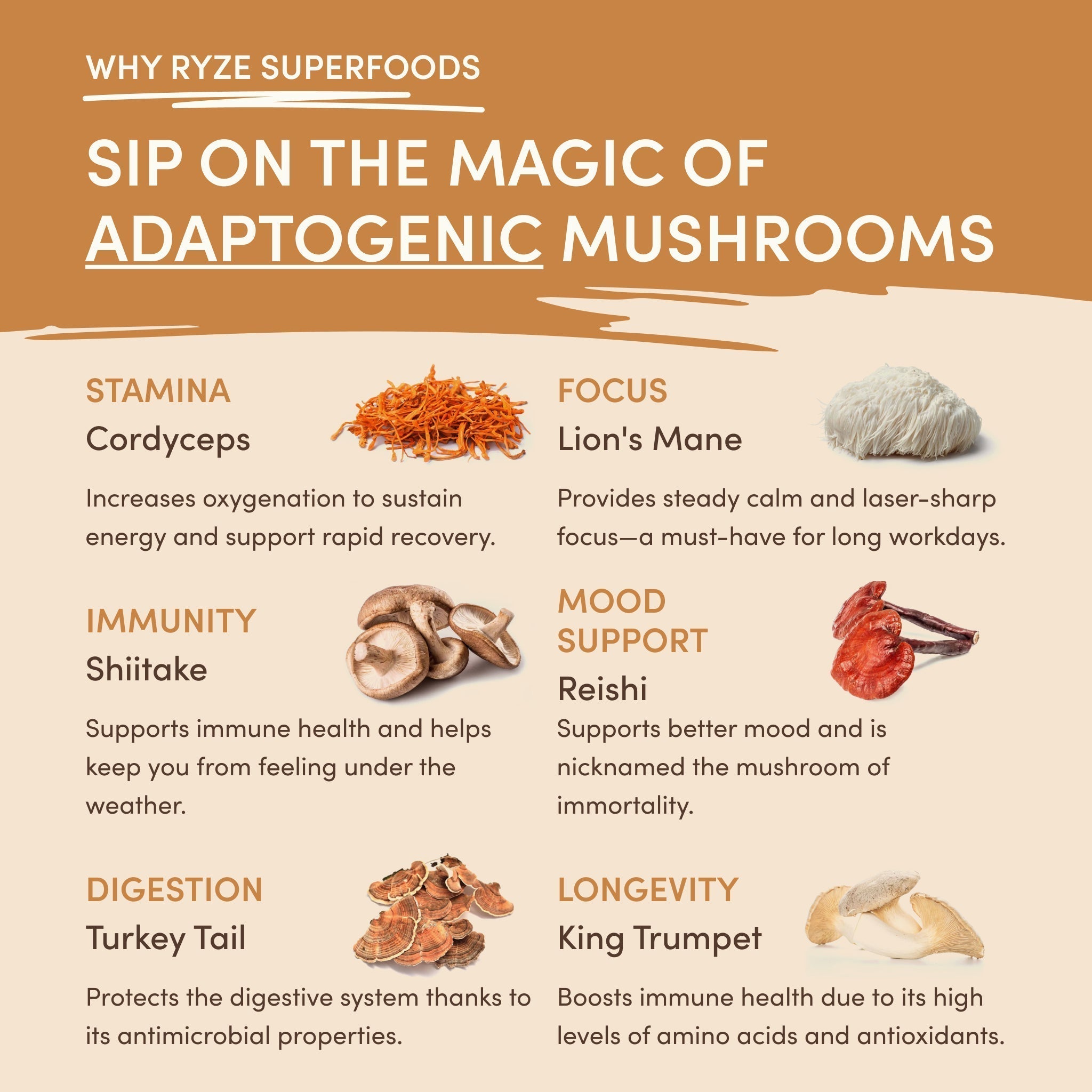 Mushroom Overnight Oats (14 Servings) G8