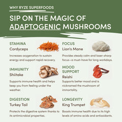 RYZE Mushroom Matcha — Organic Instant Matcha Latte with Lion's Mane & King Trumpet, 30 Servings Z9