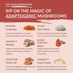 Mushroom Chai (20 Servings) K4