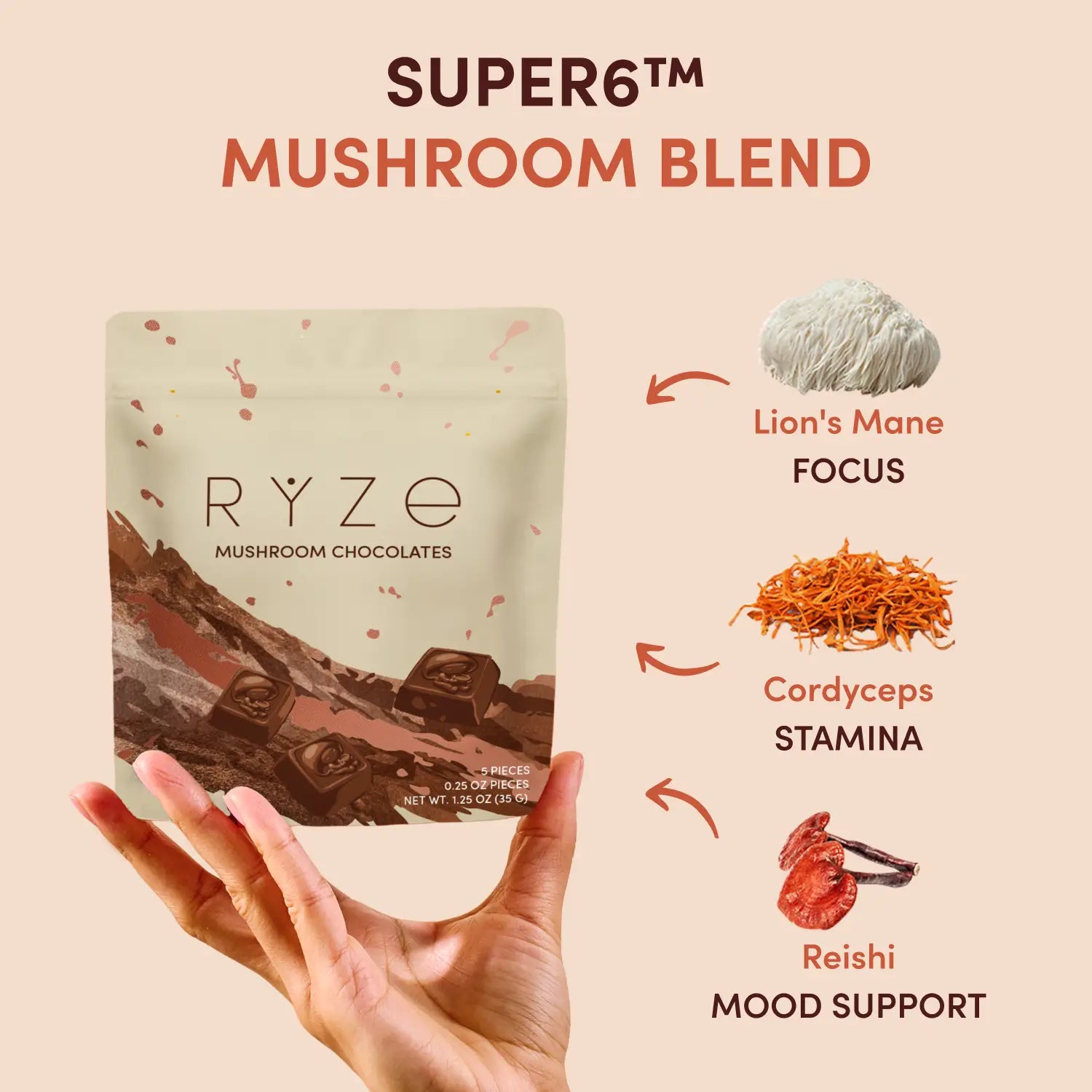 Mushroom Chocolates Rye (15 pieces) H8