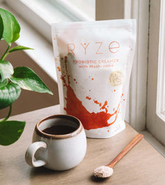 Try our Probiotic Creamer for 50% OFF! D2